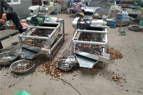 昌黎茶籽去皮機(jī)價格及設(shè)備銷售指南